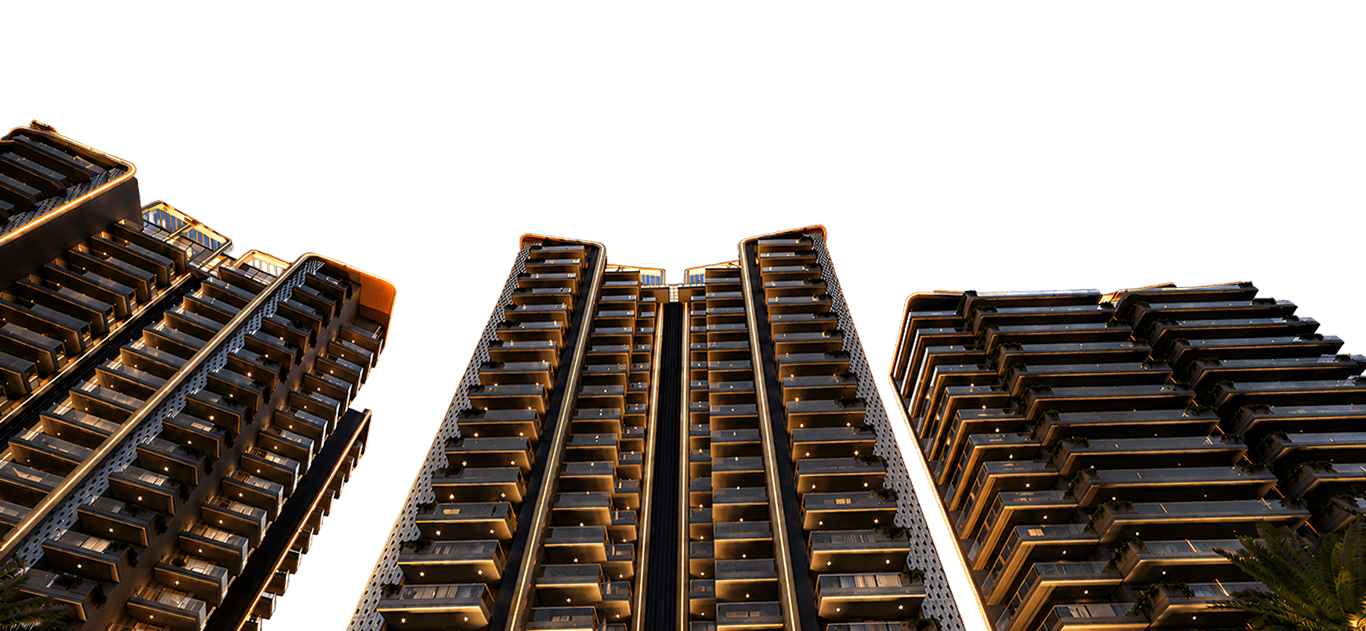 Elevation